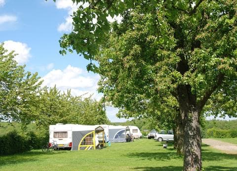 De Kersengaard foto 4