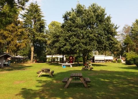 Mini-camping de Keuterij foto 5