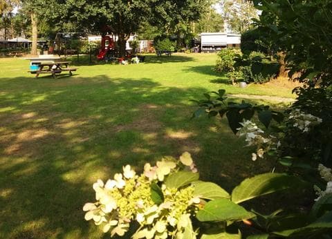 Mini-camping de Keuterij foto 2