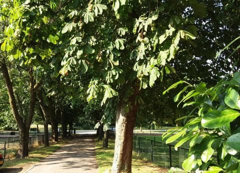 Mini-camping de Keuterij foto 4