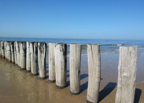 De Kiekendief foto 6