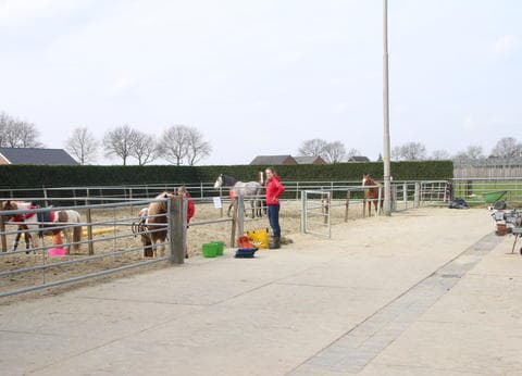 Minicamping De Kijfakker foto 6