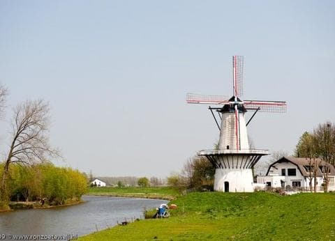 Minicamping De Kijfakker foto 3