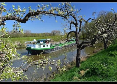 Minicamping De Kijfakker foto 7