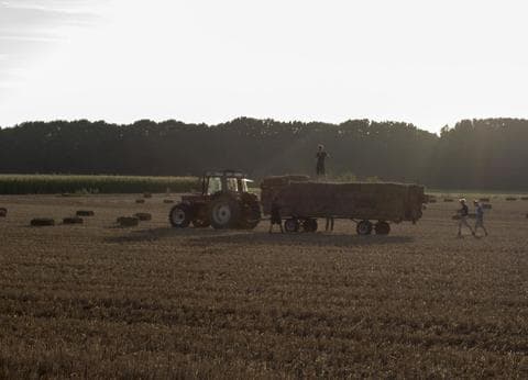 Camping Klein-Amerika foto 6