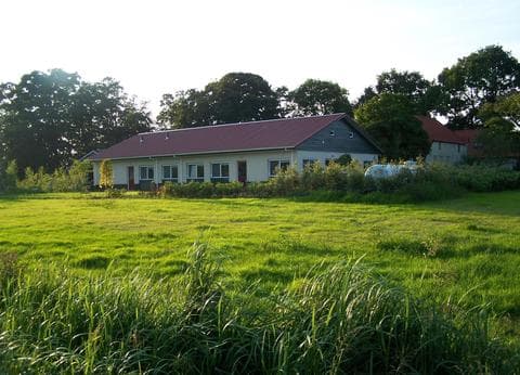 Klein hoolhorst foto 2