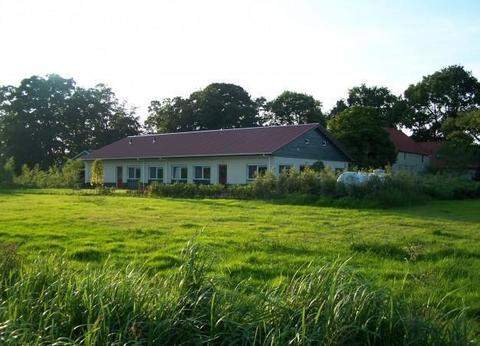 Klein hoolhorst foto 1
