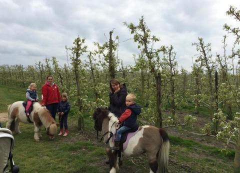 Klein Rijnsburg foto 1