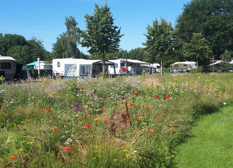 De Kleine Abtshoeve foto 3