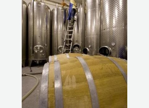 De Kleine Schorre foto 7