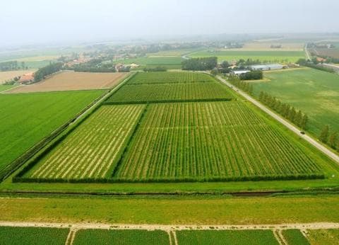 De Kleine Schorre foto 1