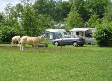 De Kleine Weide foto 2