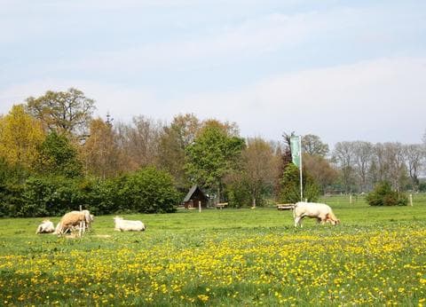 De Kleine Weide foto 3