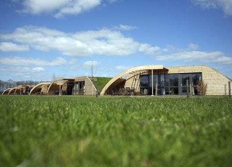 Koe in de Kost foto 2