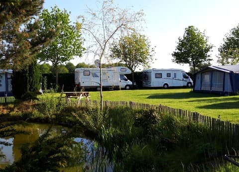 Mini camping De Kraanvensche Berg foto 5