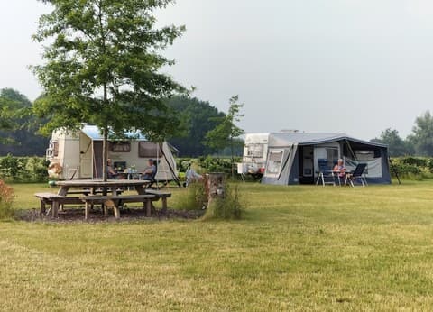 Mini camping De Kraanvensche Berg foto 9