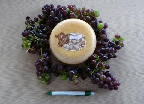 Krabbeneiland foto 5