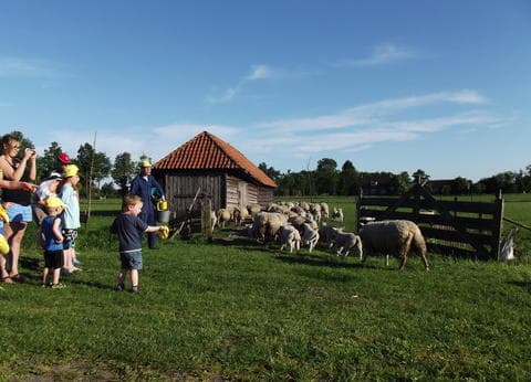 De Kuupershoek foto 3