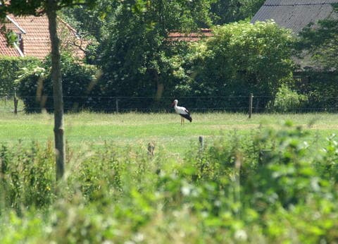 De Kuupershoek foto 4