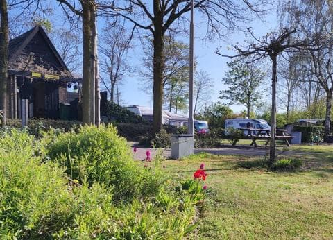 De Kwikstaart foto 1