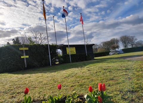 De Kwikstaart foto 3