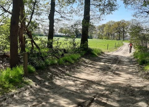 De Kwikstaart foto 5