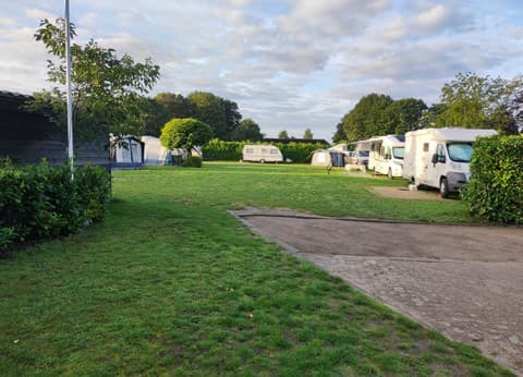 De Kwikstaart foto 2