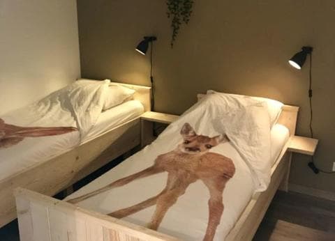 Camping Lagewald Groesbeek foto 8