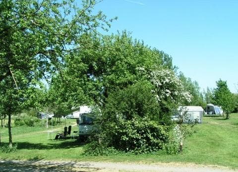 Landschapscamping 't Lentinck foto 8