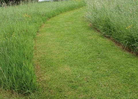 Landschapscamping 't Lentinck foto 3