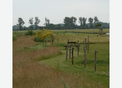 de Lepelhoeve foto 4