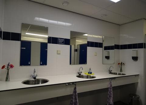 De Lijsterbes foto 8