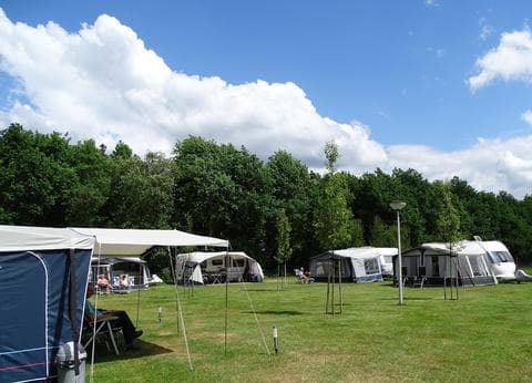 De Lijsterbes foto 9