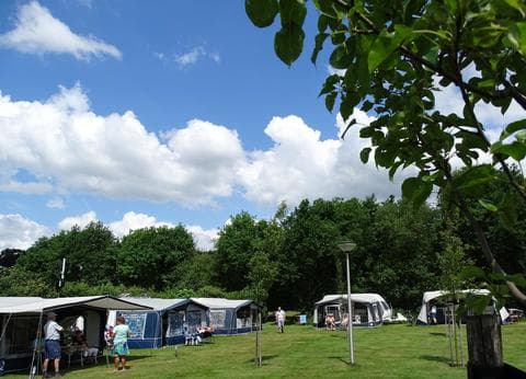 De Lijsterbes foto 7