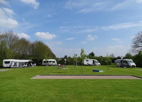 De Lijsterbes foto 3