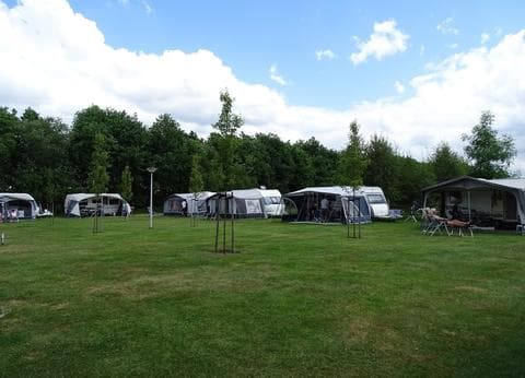 De Lijsterbes foto 4