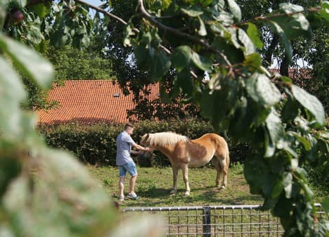 Hoeve Linnerveld foto 5