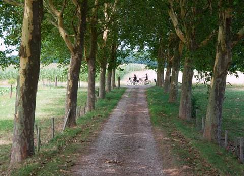 Hoeve Linnerveld foto 6