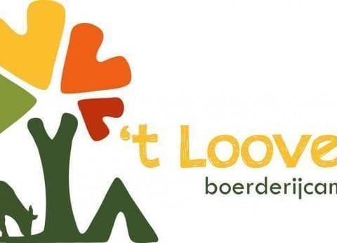 Boerderijcamping 't Looveld foto 2