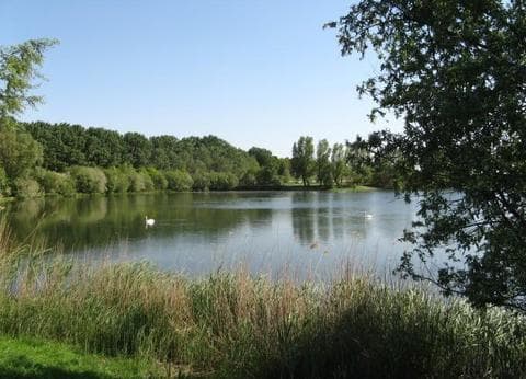 Camping de Maashoeve foto 7