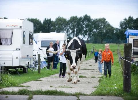 Boerderijcamping De Mebel foto 7