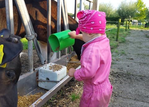 Boerderijcamping De Mebel foto 4