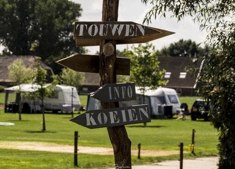 Boerderijcamping De Mebel foto 3