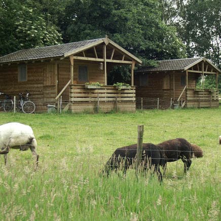 Vakantie Meerlo foto 7