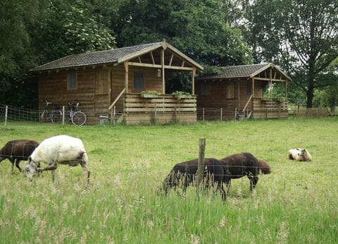 Vakantie Meerlo foto 3