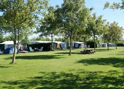 Boerderijcamping De Meet foto 6