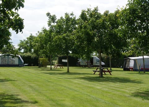 Boerderijcamping De Meet foto 1