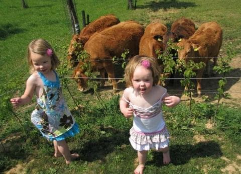 de-Mescherhei foto 5