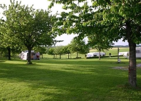 de-Mescherhei foto 6