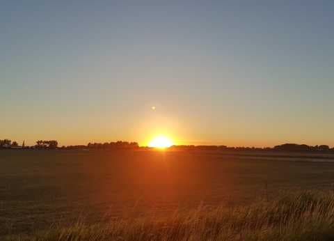 Mini Camping Middenin foto 6